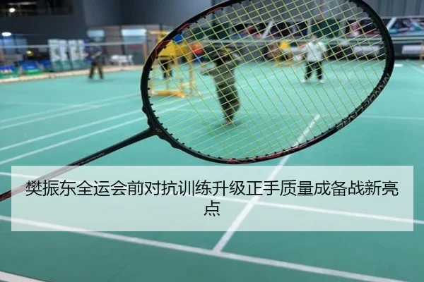 樊振东全运会前对抗训练升级正手质量成备战新亮点